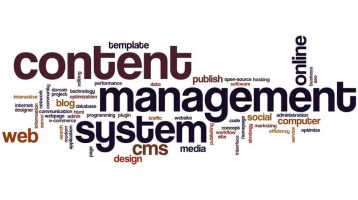 Website Management